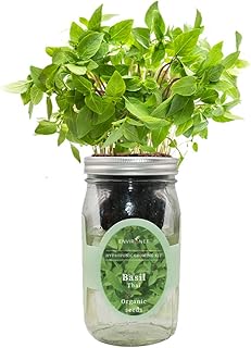 Hydroponic Herb Growing Kit, Self-Watering Mason Jar Herb Garden Starter...