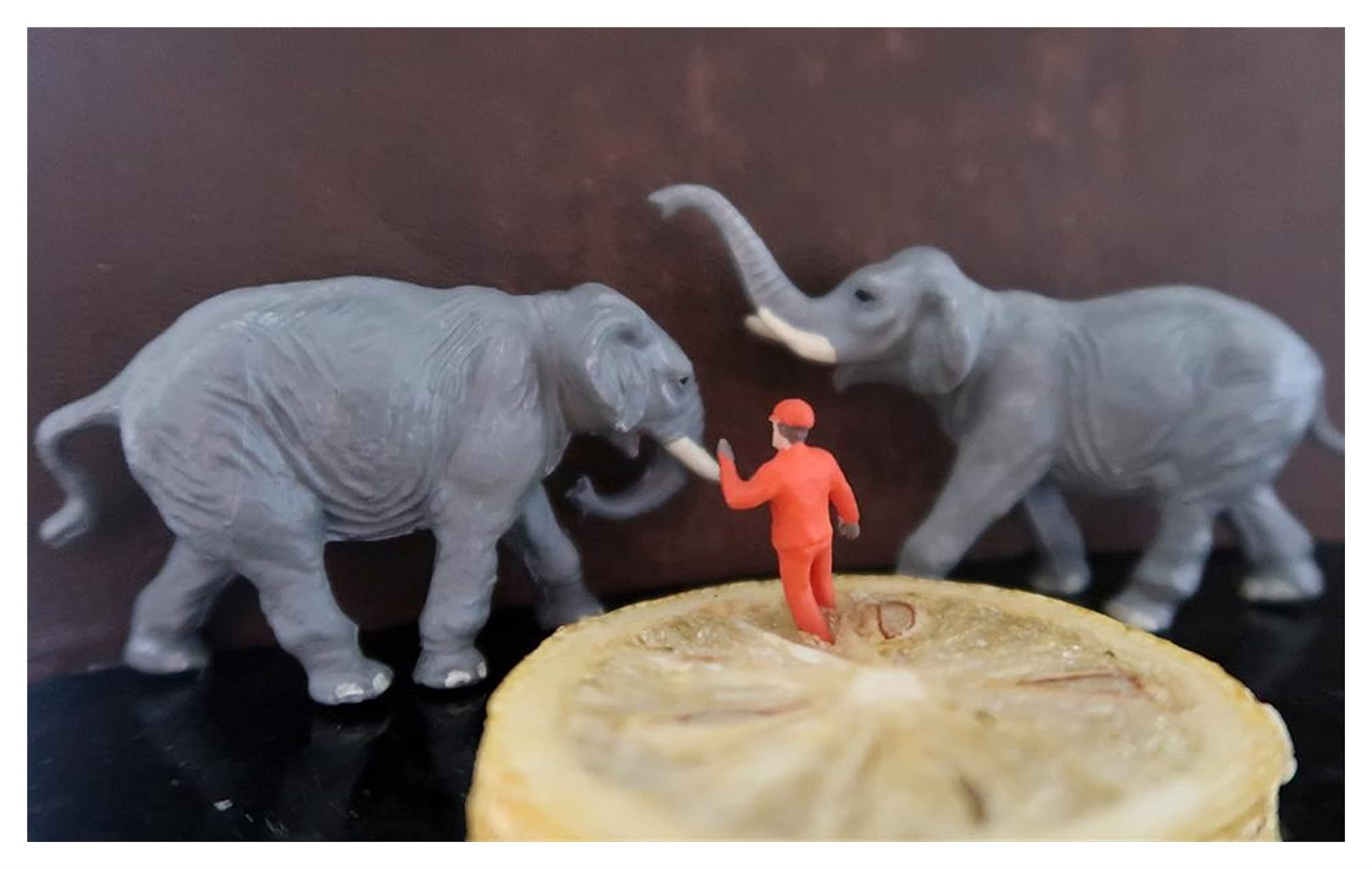 Miniaturas 1/87 modelo tren HO escala elefante y criador Diorama miniaturas figuras mesa de arena modelo escena macro fotografía accesorios (Color : 2PS elefantes)