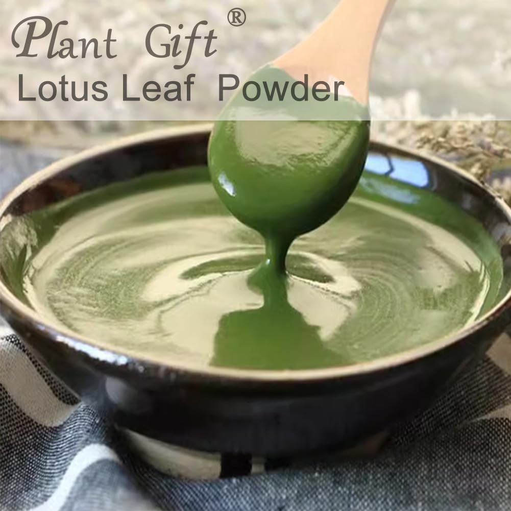 Plant Gift 100% Pure Lotus Leaf Flour 荷叶粉 Polvo natural de hoja de loto, excelente sabor para bebidas, batidos, tostadas, galletas, pasteles y bebidas, 100g / 3.25oz