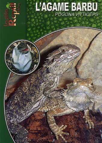 Télécharger L'Agame Barbu: Pogona Vitticeps Gratuit