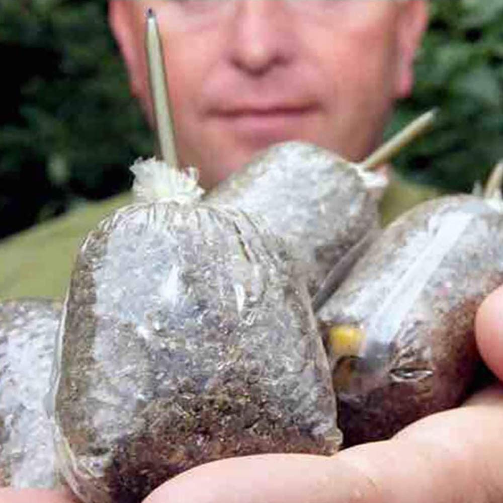 POFET PVA - Bolsas de pesca de carpa, bolsa de cebos solubles en agua rápida para aparejos de boilie, equipo de pesca de carpas, accesorios de aparejos