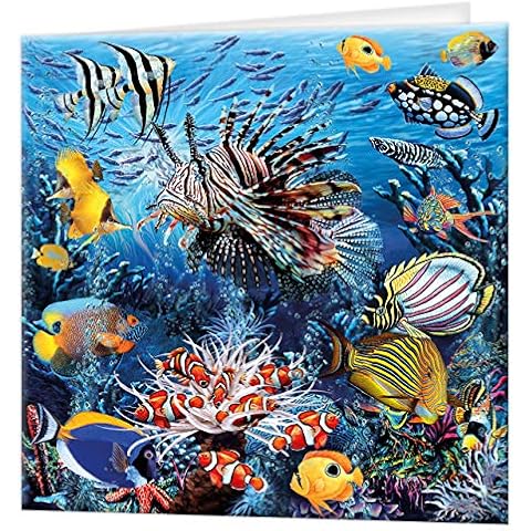 3D LiveLife Greeting Card - Wonders of The Reef from Deluxebase. Colourful Coral Reef Lenticular 3D Card for Any Occasion and Age. Original Artwork Licensed from Artist, Steven Michael Gardner Cover