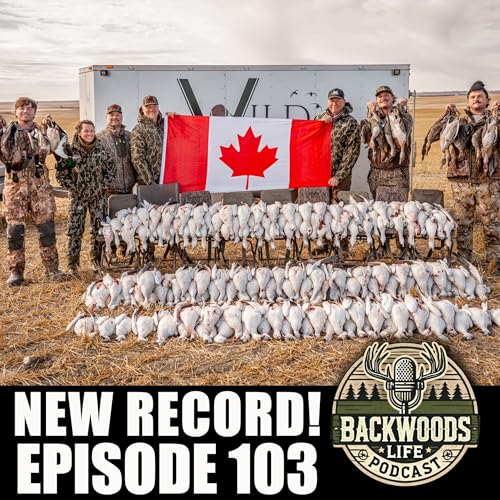 325 Birds in 2 Days: Record-Breaking Canada | BWL Ep. 103