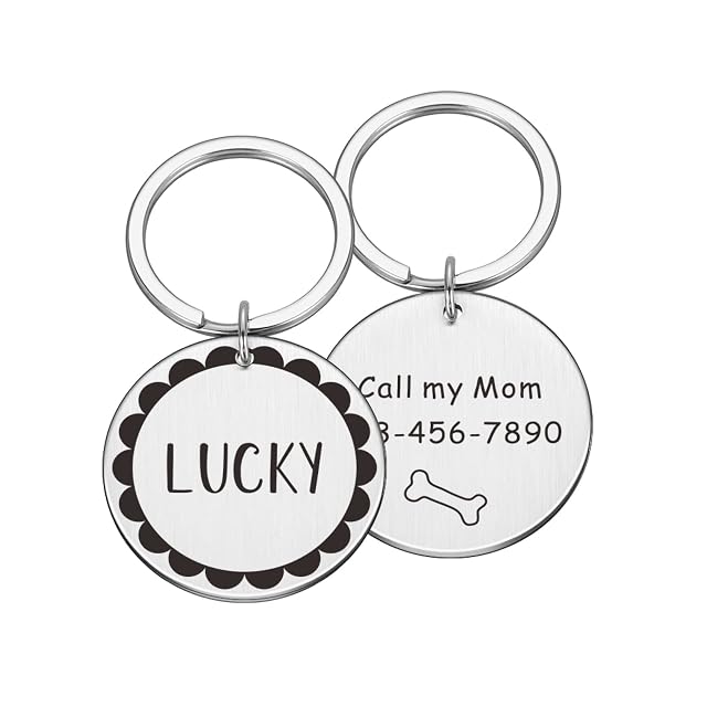 Nombre de doble cara personalizado Dirección Pet Dog Tags Cat Collar Pet ID Dog Tags Collares Acero…