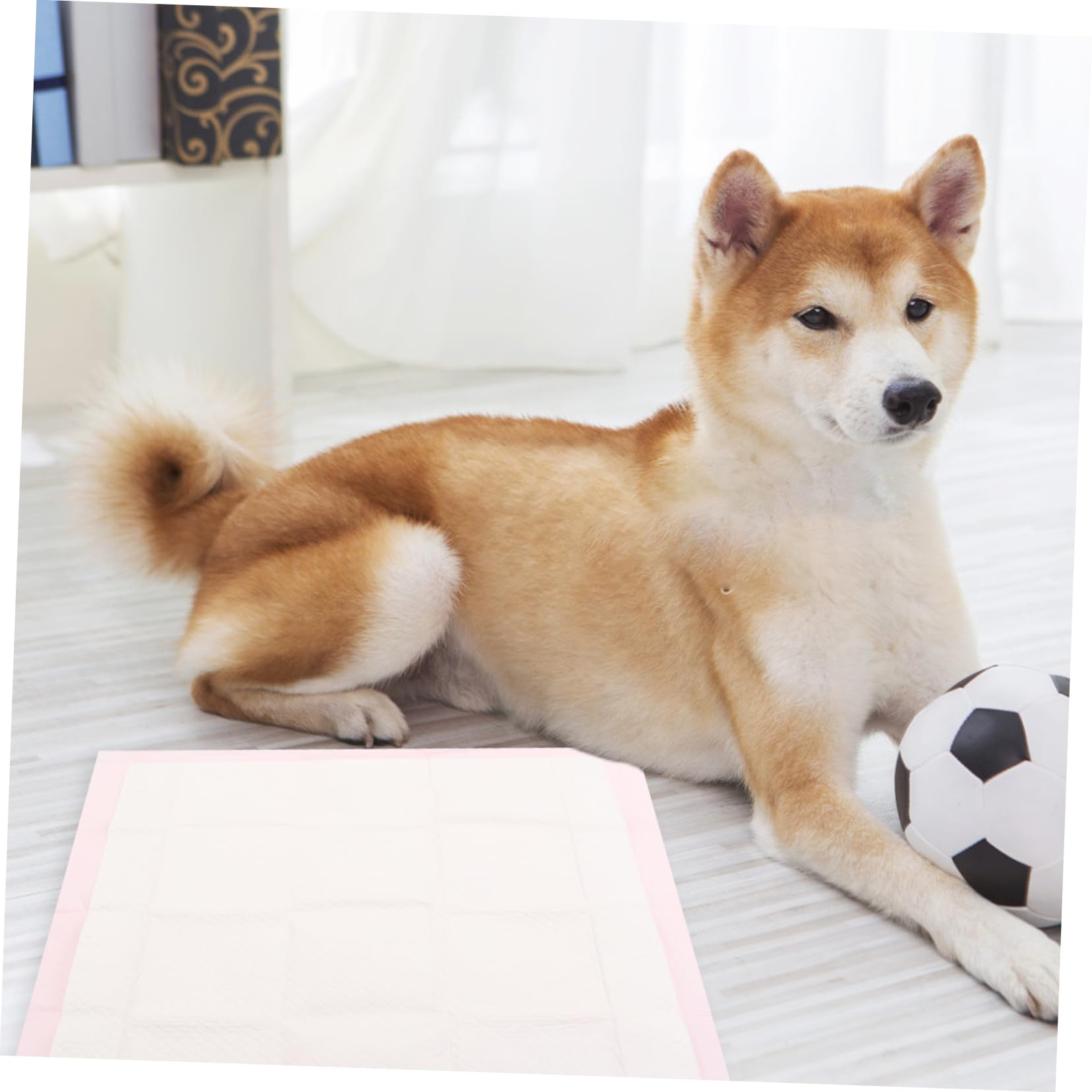 ERINGOGO 40pièces Tapis Absorbants Non-tissé pour Chiens Et Tapis Entraînement pour Animaux De Compagnie Etanche Et Ultra-absorbante De Propreté pour Chiots Et Petits Animaux