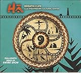 100x ZapfenZünder ein echtes Naturprodukt - Anzünder Made in Germany