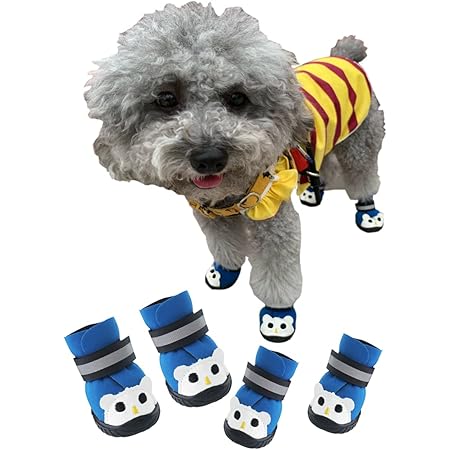 Amazon Co Jp Asmpet 犬用 靴 肉球 保護 傷防止 ドッグブーツ 犬靴 春 夏 通気性 愛犬のお散歩 犬 シューズ 滑り止め 雨の日 犬 靴 子犬 小型犬 かわいい ドッグブーツ 犬靴 ドッグシューズ 散歩 介護 肉球保護 ブルー 01 長さ 3 2cm 幅 2 8cm