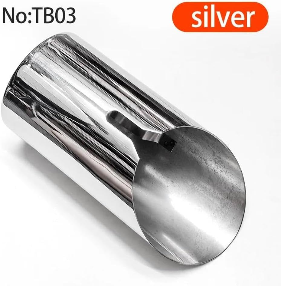 Spare Parts For BMW 1 2 3 4 Series F20 F21 F22 F23 F30 F31 F34 GT 3 F32 F33 F36 Exhaust Muffler Tip Tailpipes Stainless Nozzle(Silver 1PCS)