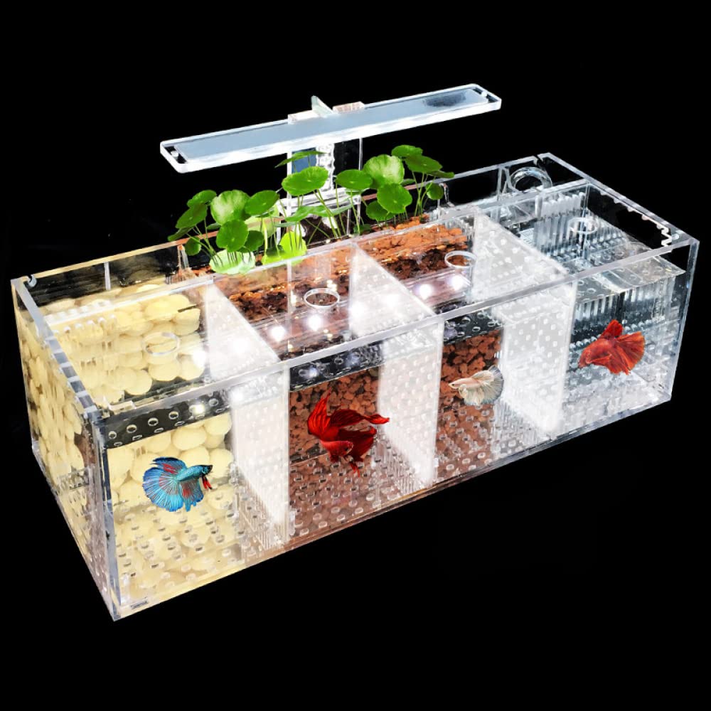 Siqi Betta Fish Tank Materiale acrilico Mini Desktop Aquarium Goldfish Mini Fish Tank Stanza di isolamento per pesci malati, con filtro per pompa dell'acqua, illuminazione (4 spazio reticolo)