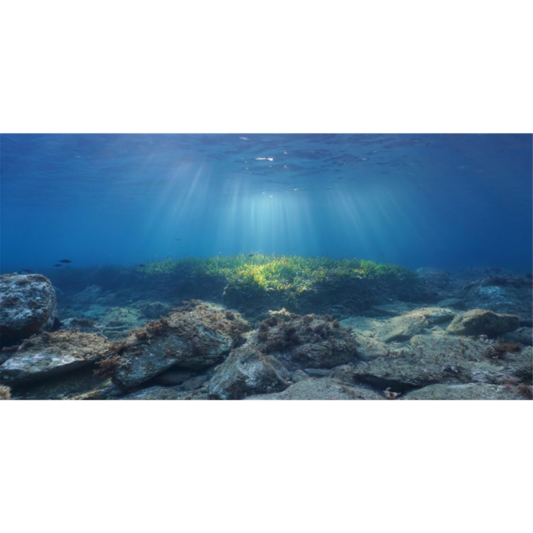 MIRRORANG 61x41cm Aquarium Background Underwater Fish Sea Fish Tank Wall Decorations Aquarium Decor Backgrounds โ image 1