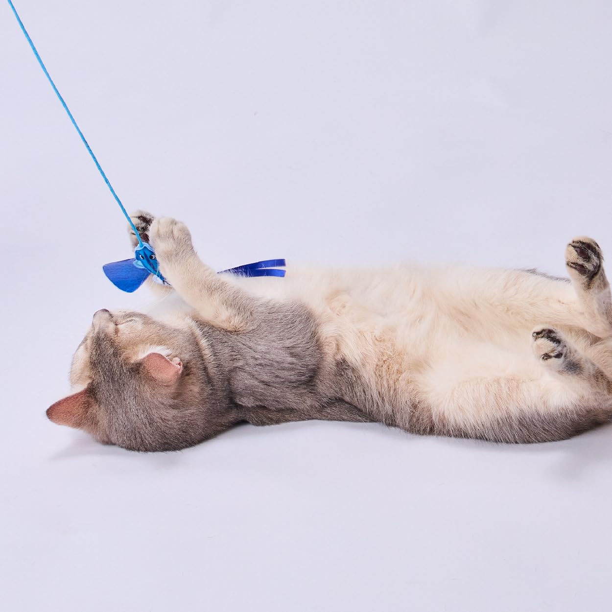 Amazon | ペティオ (Petio) 猫用おもちゃ 大好きブルーのカシャカシャ