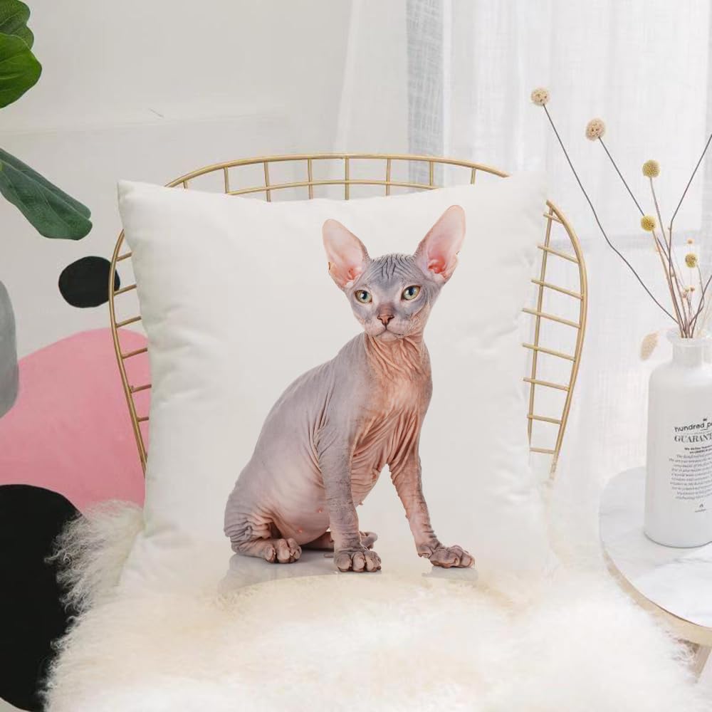 HYOSXW Cushion Cover,Throw Pillow Case Home Decorative for Living Room Bedroom Sofa Chair 16X16 Inch,Bald cat species Sphinx cat naked cat,Pillowcase 40X40cm