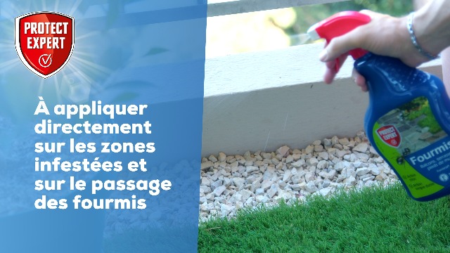 PROTECT EXPERT Anti Fourmis & Fourmilières 600g - Action Choc Et Longue Durée - Poudre Et Arrosage