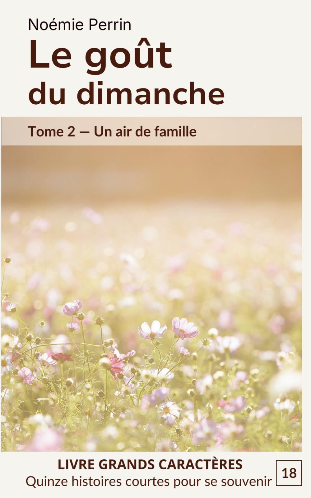Le goût du dimanche: Tome 2 — Un air de famille. 15 histoires courtes en grands caractères
