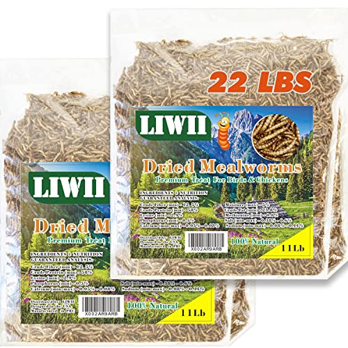 Dried Mealworms -22 LBS- 100% Natural Non GMO High Protein Mealworms - Bulk Mealworms for Wild Birds, Chicken Treats, Hamster Food, Gecko Food, Turtle Food, Lizard Food