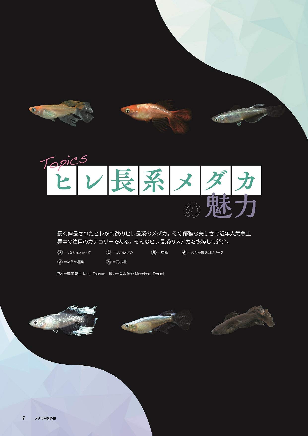 最新改良品種のすべてがわかる メダカの教科書 Vol 4 サクラムック 本 通販 Amazon