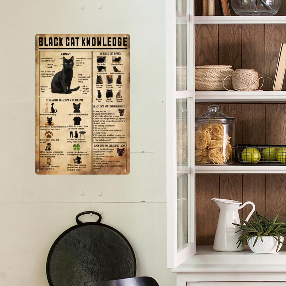 SUPERDANT Panneaux Métalliques Rétro Drôles De Chat | FindTheDeal