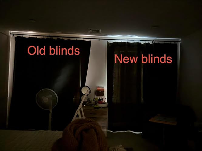 Review Image by Palebluedot