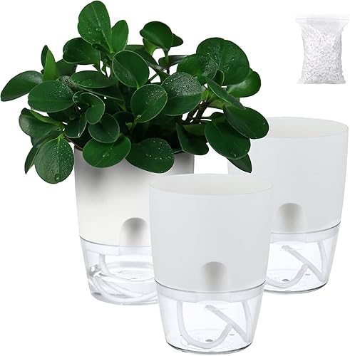 Planterhoma Macetas de riego automático de 6 pulgadas, color blanco, interiorexterior, cuerda de algodón incluida