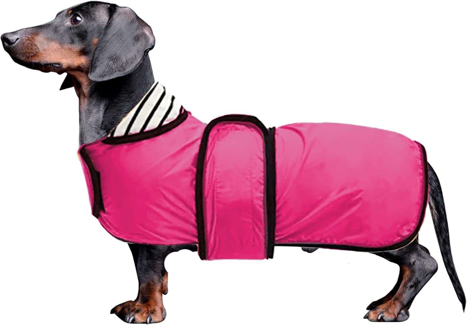 Morezi Dog Raincoat with Reflective Bar, Rain/Water Resistant