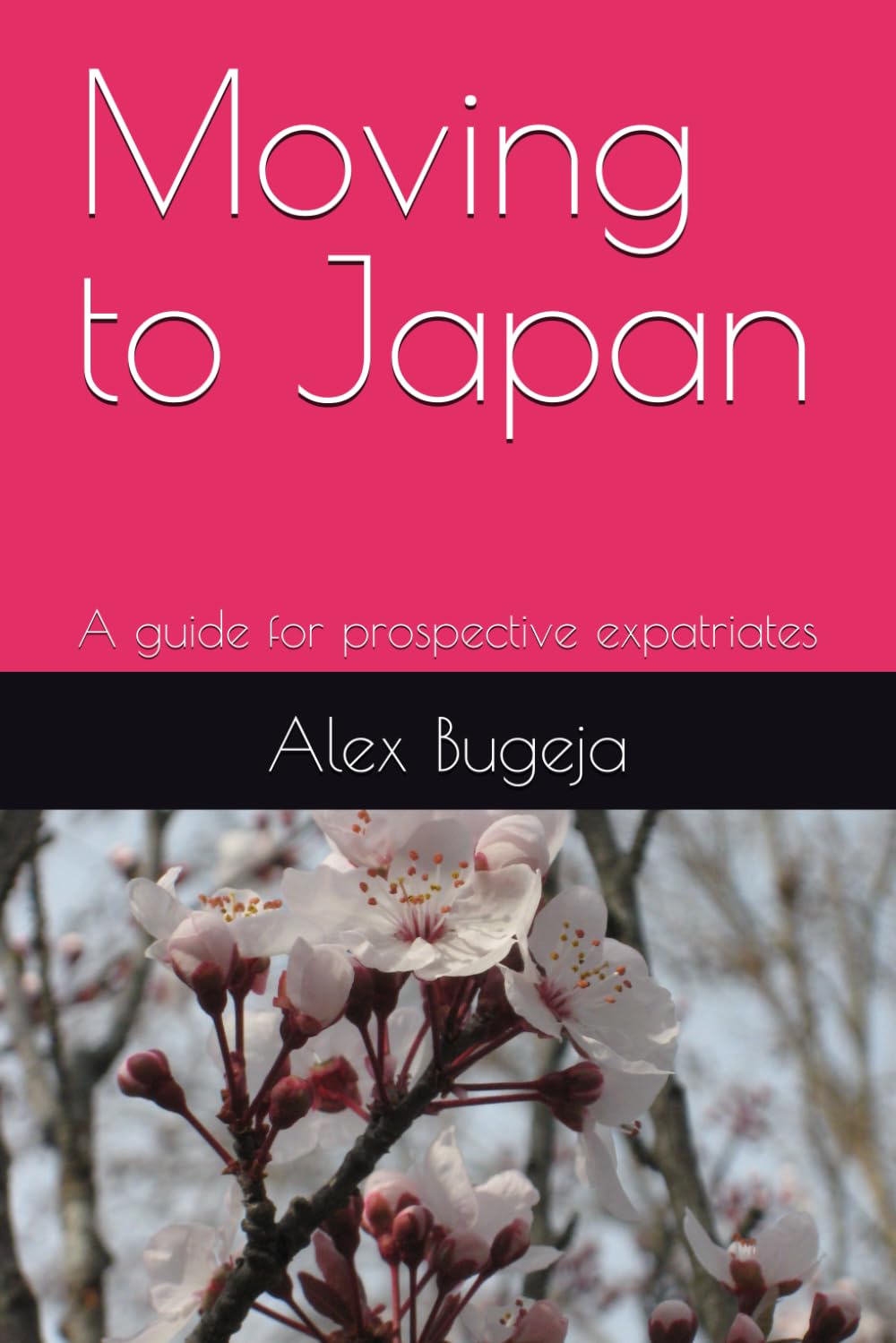 Moving to Japan: A guide for prospective expatriates