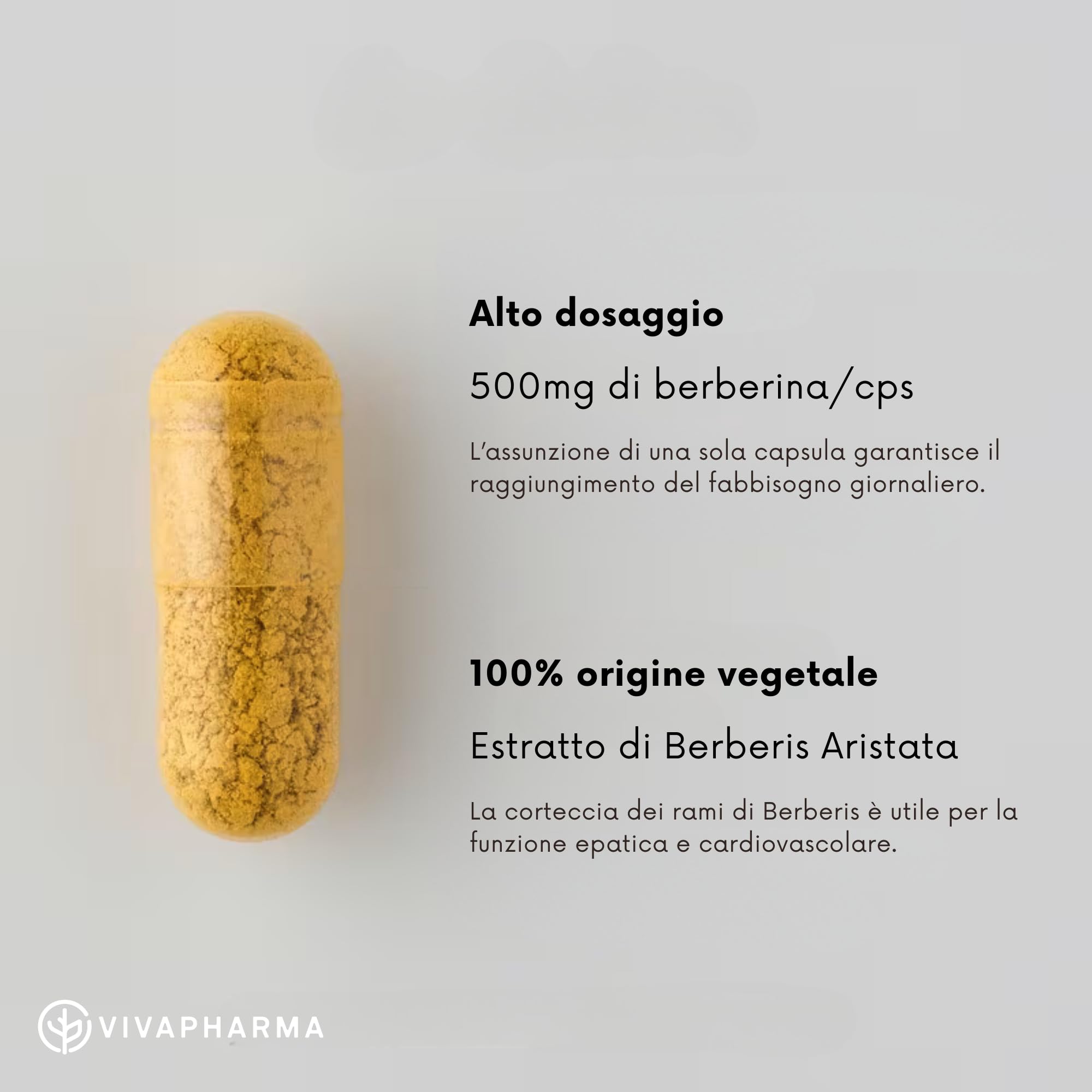 VIVAPHARMA Berberina - 90 cps Alto Dosaggio 500 mg - Favorisce Regolare Funzione Epatica e Cardiovascolare - Berberina hcl 500 mg