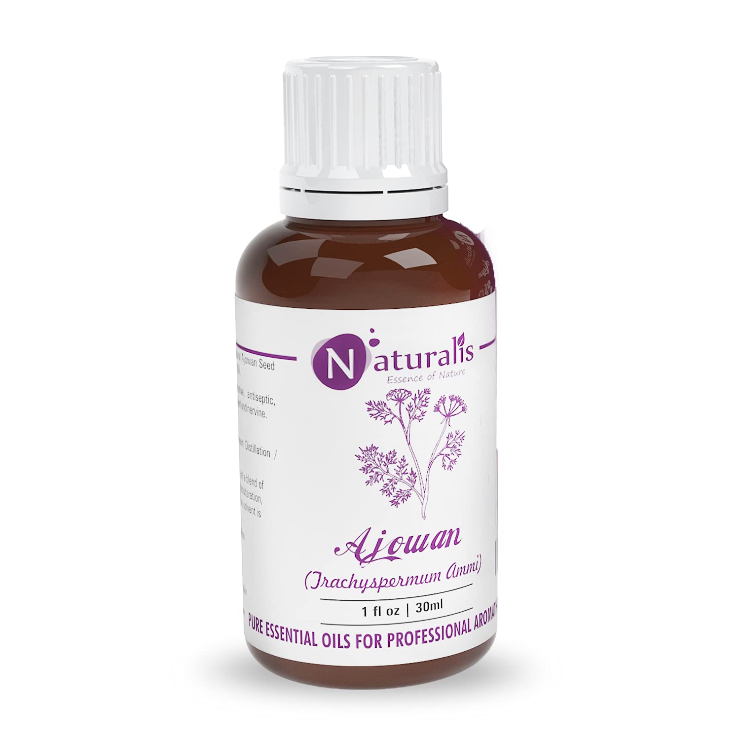 Naturalis Essence of Nature Ajwain/Ajowan Essential Oil (Trachyspermum ammi) Natural Therapeutic Grade Steam Distilled - 30ml (B081B8PBGJ) Amazon Price History, Amazon Price Tracker
