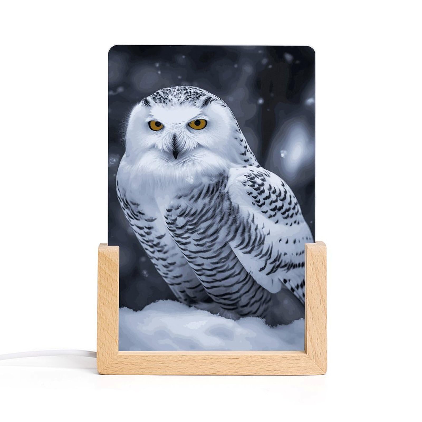 JTREHY Acrylic Night Light,Arctic Owl Printed Wooden Base LED Night Light Modern Home Decoration Light with USB Switch Cable for Bar Cafe Bedroom Room Decoration