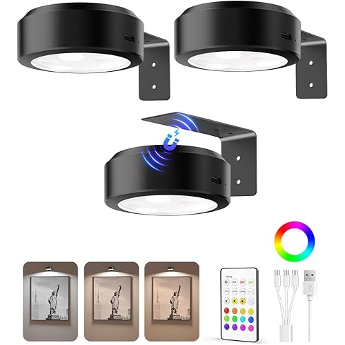 EZVALO Picture Lights for Wall, 2000mAh Rechargeable Battery Magnetic Poster Lights with 3 Color Temps & 12 RGB, Remote Dimmable Timer Painting Light, Wall Decor Light for Art Display, Frame (3 Pack)