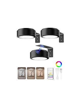 EZVALO Picture Lights for Wall, 2000mAh Rechargeable Battery Magnetic Poster Lights with 3 Color Temps & 12 RGB, Remote Dimmable Timer Painting Light, Wall Decor Light for Art Display, Frame (3 Pack)