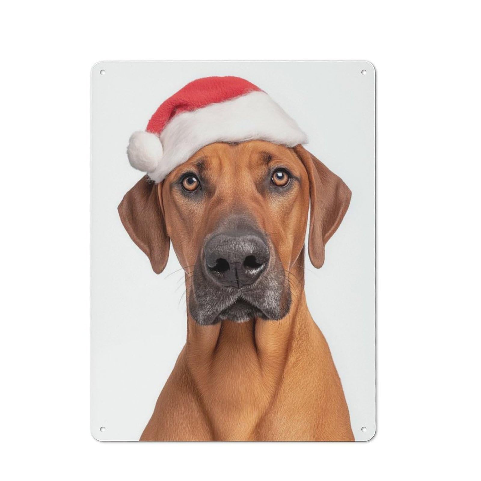 Junmoney Rhodesian Ridgeback Dog With Santa Hat Portra It Rustic Metal Sign 40X30cm For Lounge Or Reading Corner, For Reading Corner Decorators