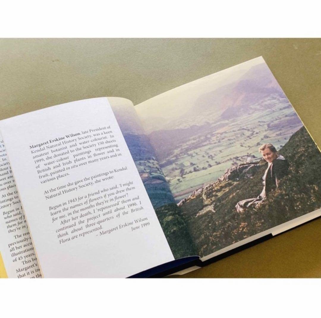 Amazon.co.jp: 特別アート洋書 植物図鑑 アンティーク風 レトロ