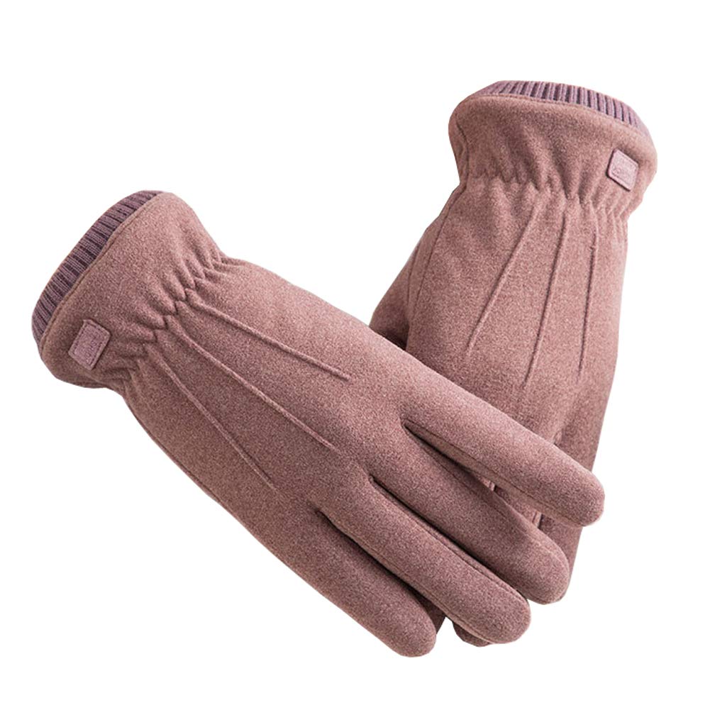 Xinqiao Women’s Winter Warm Touchscreen Gloves Windproof Texting Fleece Mittens (N910 Pale Mauve)