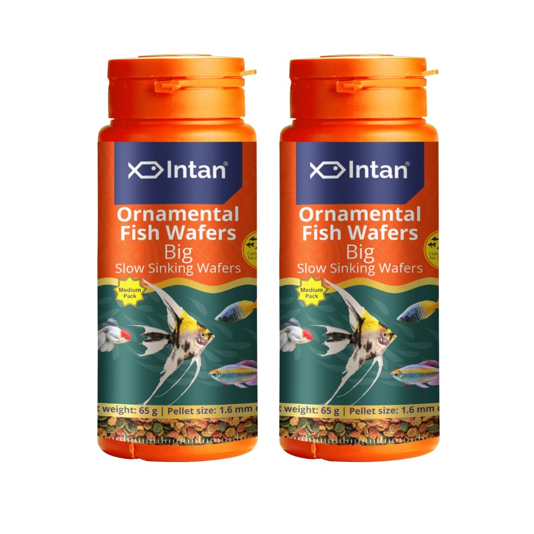 Aquatic Intan Ornamental Fish wafers Fish Food | Big Slow Sinking Wafers for Aquarium Fish | Wafers for Health & Growth | Medium Pack 65 gm Each, Pellet Size 1.6 mm Dia (Pack of 2) (B0D7MHPSJV) Amazon Price History, Amazon Price Tracker