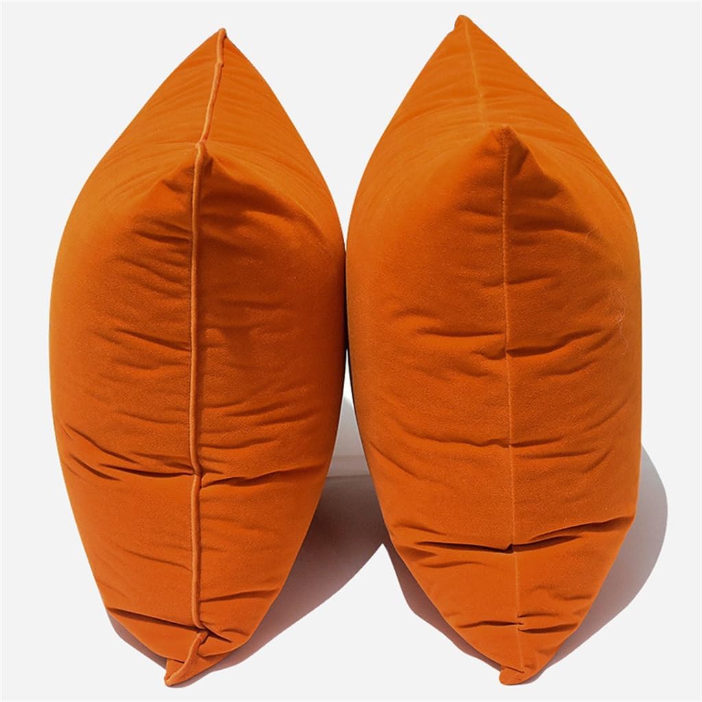 HBJWOV Oran Plush Sofa Throw Pillow Living Room Bedroom Bed Cushion Cover Case