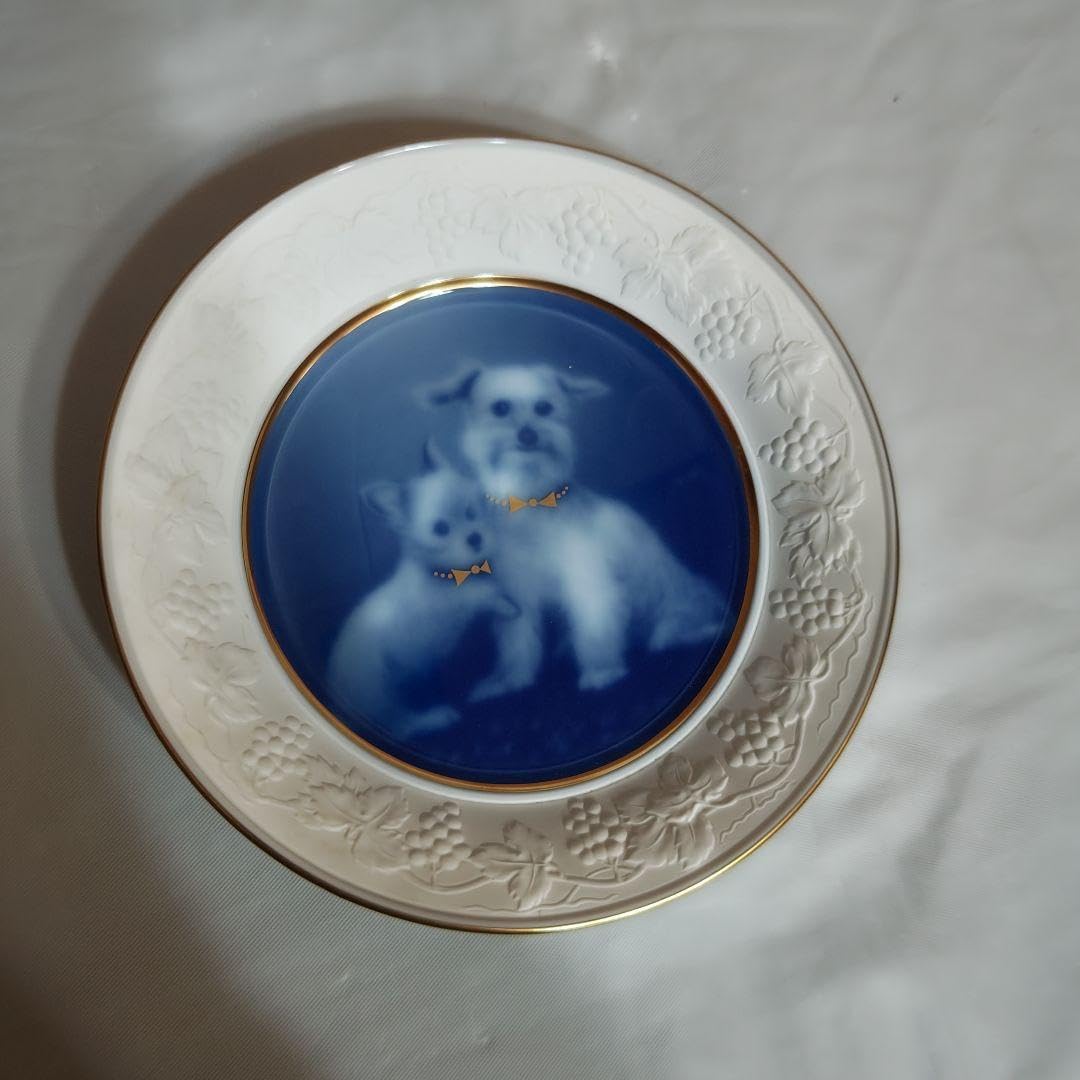 【ARS AU 真贋鑑定】エンテイ⭐︎ ゴールドスター 019/106 アンリミ Entei Star 2005 Japanese EX: Golden Sky, Silvery Ocean #019