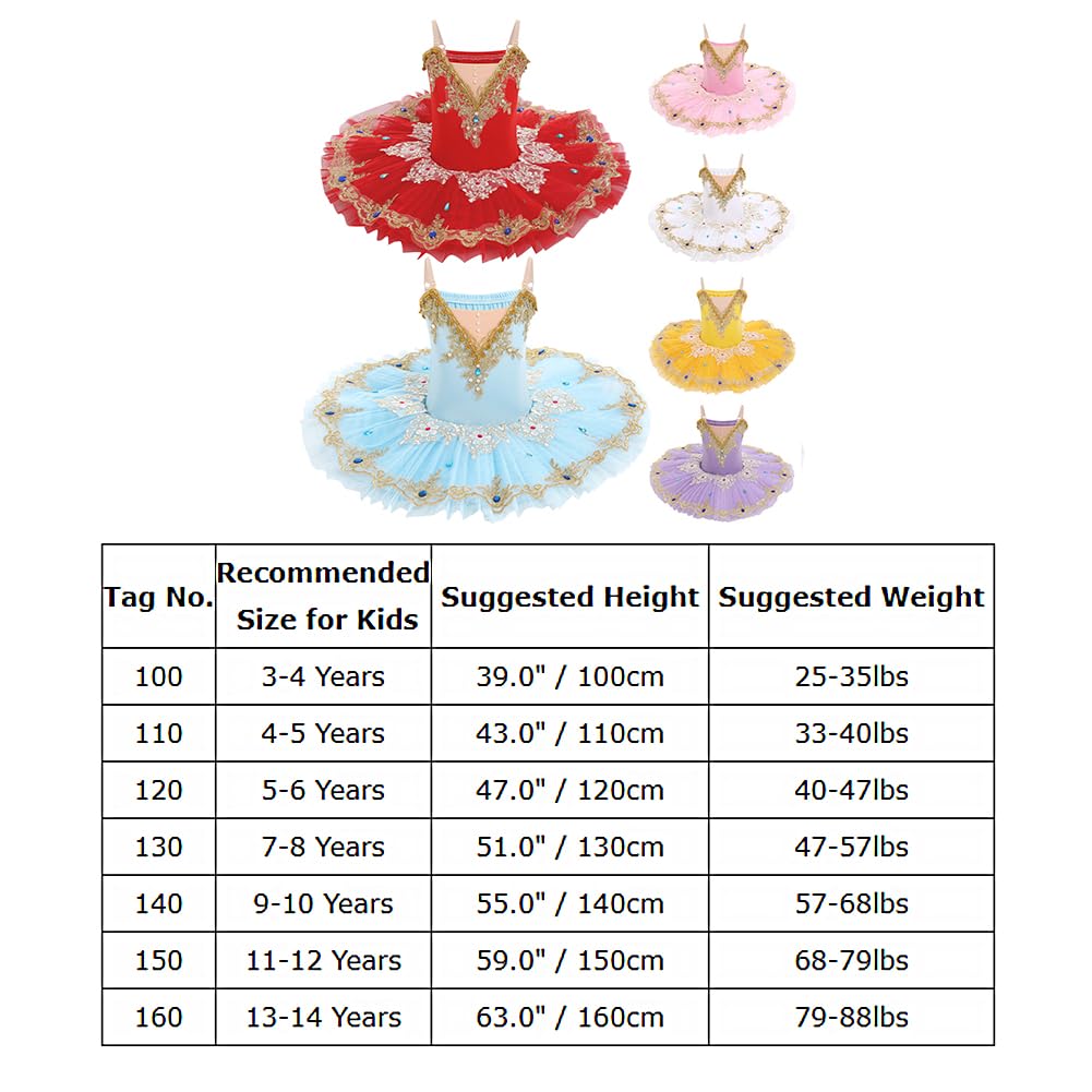 IDOPIP Enfant Fille Costumes de Ballet Danse Tutu Robe Perles Strass Fleurs Broderie Dentelle Cygne Col en V Fines Bretelles