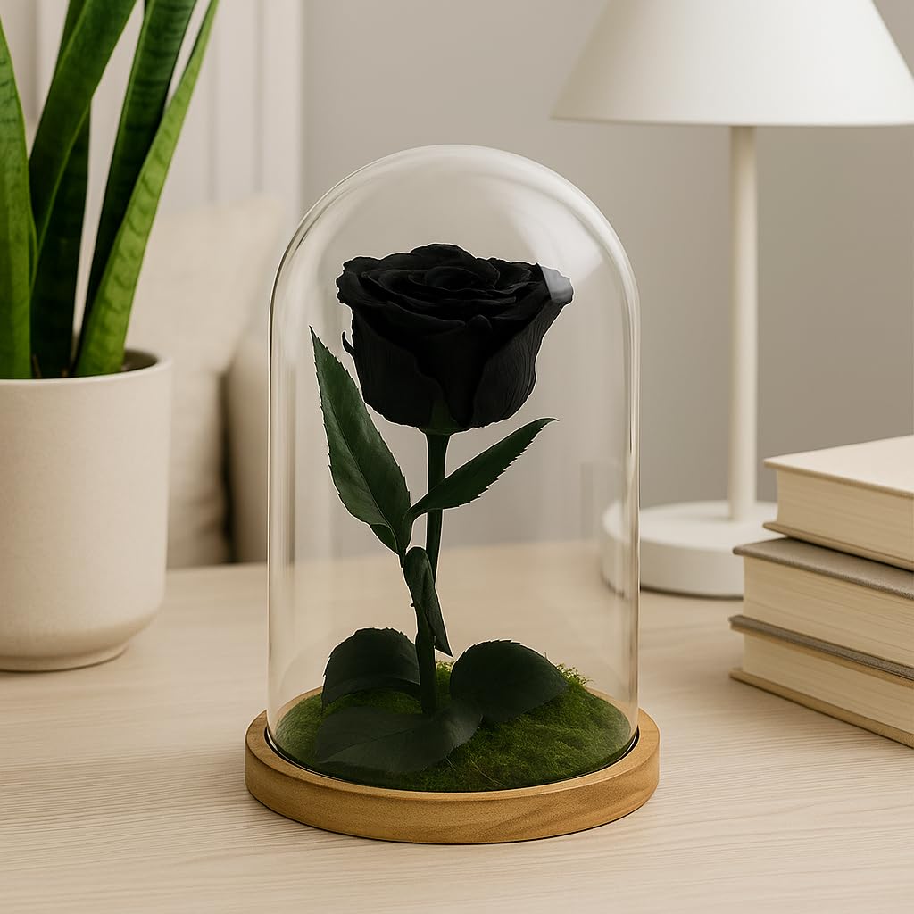 Mundo Eterno| Rosa Preservada Negra en Cúpula de Cristal | Rosa Eterna Natural | Regalo Original | 22x12 cm