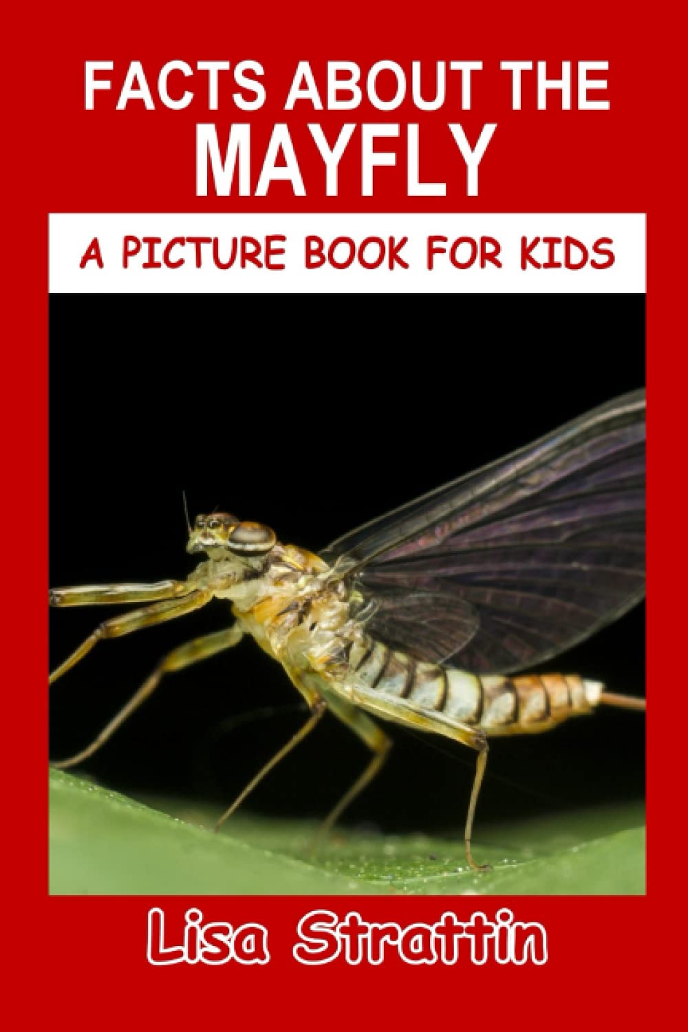 Facts About the Mayfly (A Picture Book For Kids)