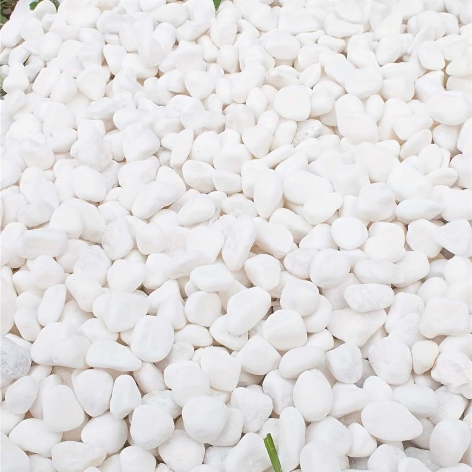 Pietre Decorative da Giardino Marmi di ciottoli 100/300G for Piante grasse Bonsai Acquario Vaso pianta Piccolo Giardino Domestico Decorazioni(White 300g)