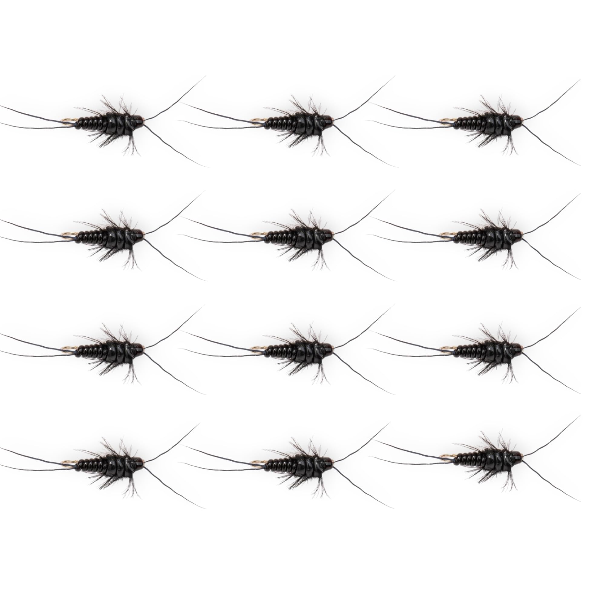 STONEFLY Nymph 12 Pack - Premium Hand Tied Trout Flies for Fly Fishing - Realistic Stonefly Imitation - Heavy, Durable, Proven Subsurface Fly Set