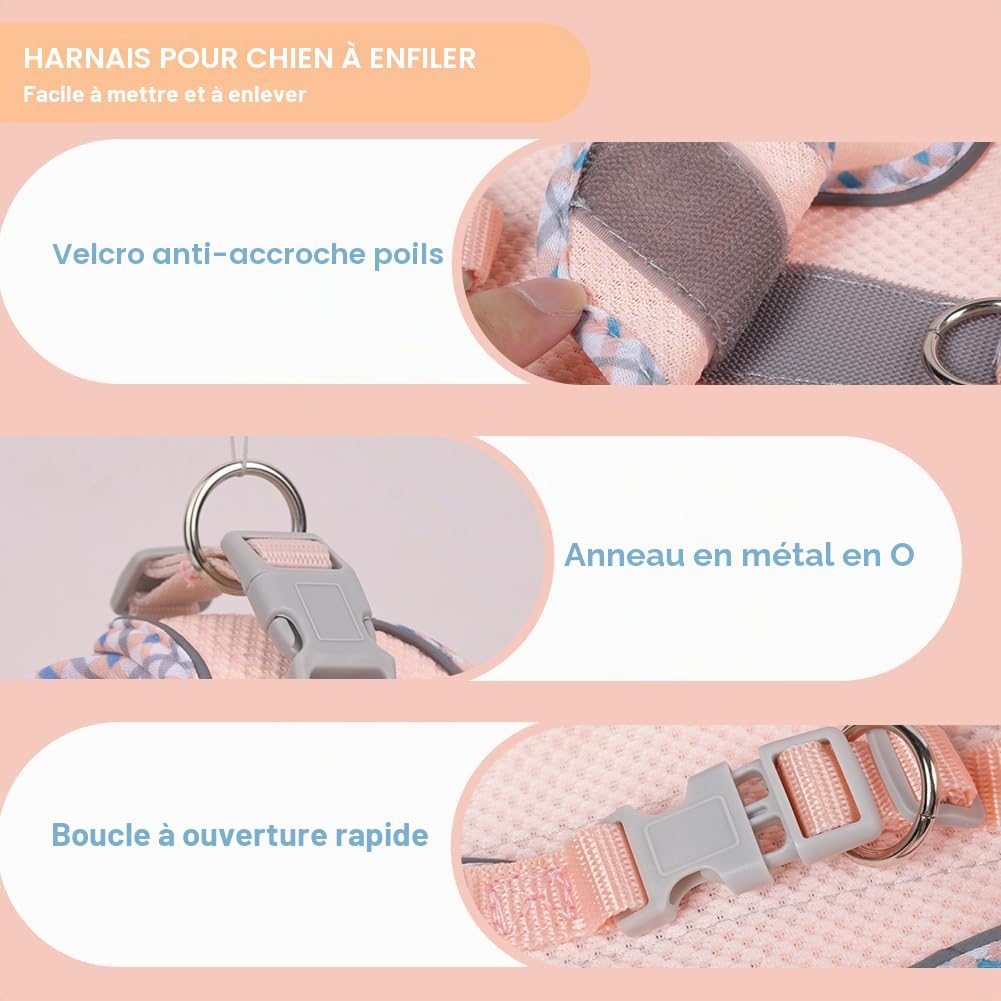 Harnais pour Chiens de Petite Taille et de Taille Moyenne, Harnais et Laisse pour Chiots, Harnais en Maille réfléchissante et Respirante, Gilet Doux et rembourré pour Chiens