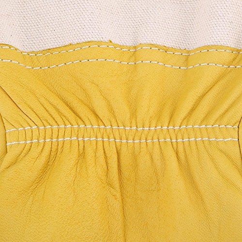 Zerodis Guanti apicoltori Equipaggiamento