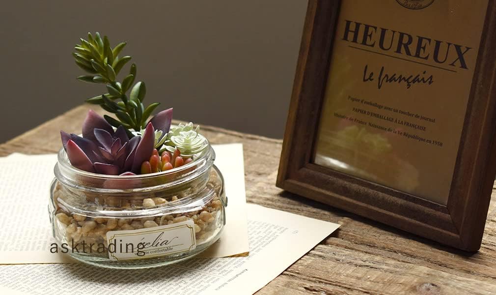 最大79 Offクーポン Ct触媒 テラリウム ガラスキャニスター寄せ植え カラフル Sサイズ 多肉植物 サボテン フェイクグリーン 母の日 おしゃれ プレゼント 消臭 抗菌 Fg708