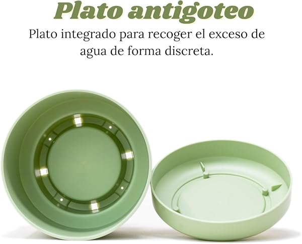 Mini Macetas Plástico Plato Incorporado 10,5cm, Pack 12 Maceteros para Cactus y Suculentas, Tiestos para Plantas Interior, Macetas Pequeñas Decorativas Modernas (12 x Pastel 10,5cm) - 3