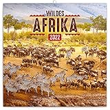 calendarios solidarios animales 2018 Formato: 30 x 30 cm, gramaje: 250 g/m² (parte de la portada), 135 g/m2 (interior), encuadernación cosida
