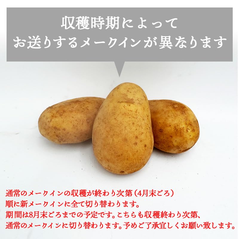 栃木県産 メークイン 20kg 新ジャガイモ　格安　じゃがいも 品種 大きい メークインジャガイモ 男爵とメークインはどう違う 農家に