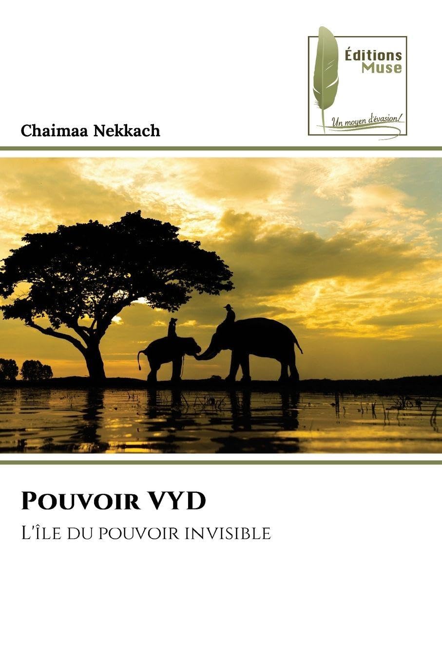 Pouvoir VYD: L'île du pouvoir invisible