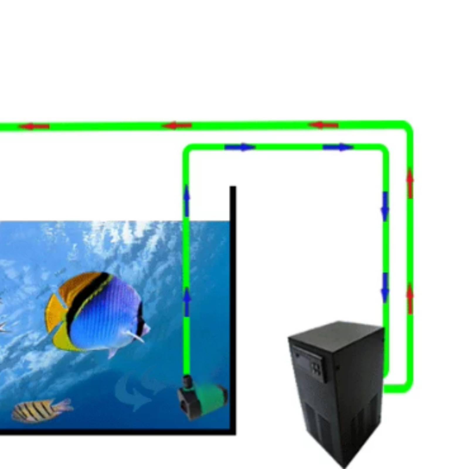 Refrigeratore in Linea con Pompa Automatico Intelligente per Acquariofili, Acquari Marini, 20L, LG-C20 Nero Freddo/Caldo Con Pompa E Tubo