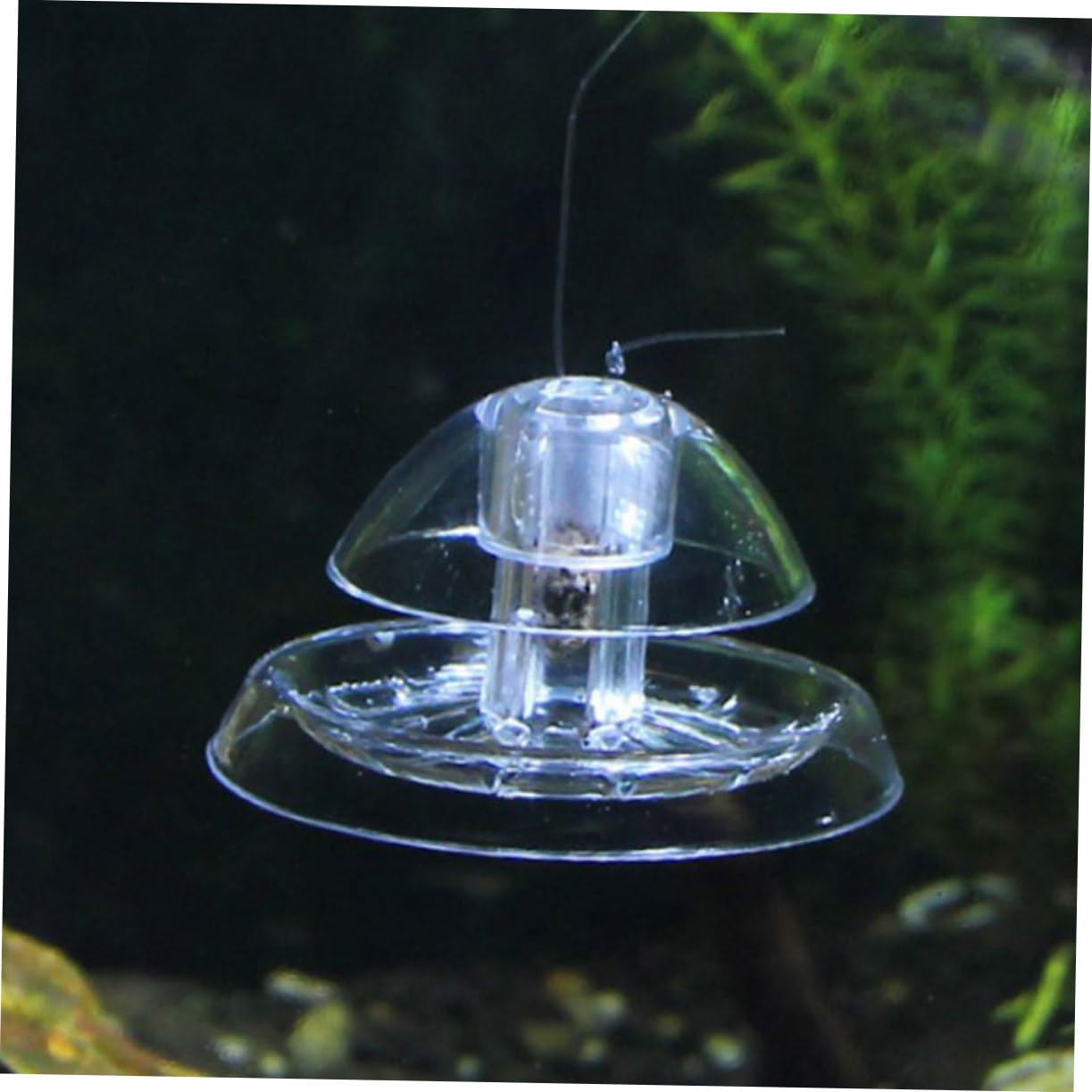 BESPORTBLE 12pièces Dispositif Transparent De Capture De Limaces pour Aquarium Attrapeur De Escargots Pratique pour Éliminer Nuisibles Réservoir Petit